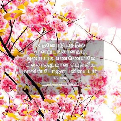 Picture 05 - எண்ணாகமம் 15:9 TAMIRV - அதனோடு பத்தில் - Bible Verse Picture