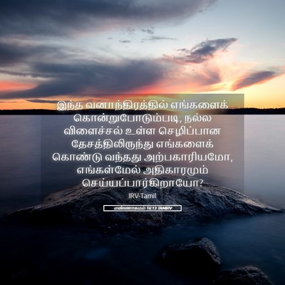 Picture 05 - எண்ணாகமம் 16:13 TAMIRV - இந்த - Bible Verse Picture