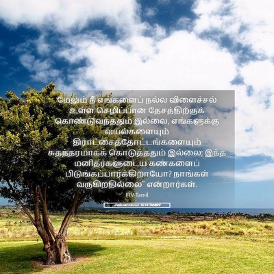 Picture 05 - எண்ணாகமம் 16:14 TAMIRV - மேலும் நீ - Bible Verse Picture