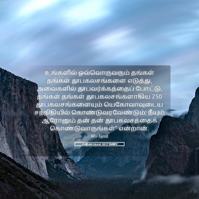 Picture 05 - எண்ணாகமம் 16:17 TAMIRV - உங்களில் - Bible Verse Picture