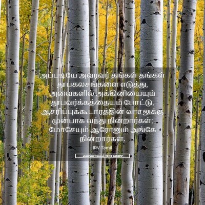Picture 05 - எண்ணாகமம் 16:18 TAMIRV - அப்படியே அவரவர் - Bible Verse Picture