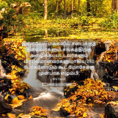 Picture 05 - எண்ணாகமம் 16:2 TAMIRV - இஸ்ரவேல் மக்களில் - Bible Verse Picture