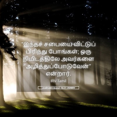 Picture 05 - எண்ணாகமம் 16:21 TAMIRV - “இந்தச் சபையை - Bible Verse Picture