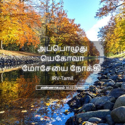 Picture 05 - எண்ணாகமம் 16:23 TAMIRV - அப்பொழுது யெகோவா - Bible Verse Picture