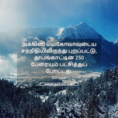 Picture 05 - எண்ணாகமம் 16:35 TAMIRV - அக்கினி - Bible Verse Picture