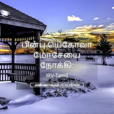 Picture 05 - எண்ணாகமம் 16:36 TAMIRV - பின்பு யெகோவா - Bible Verse Picture