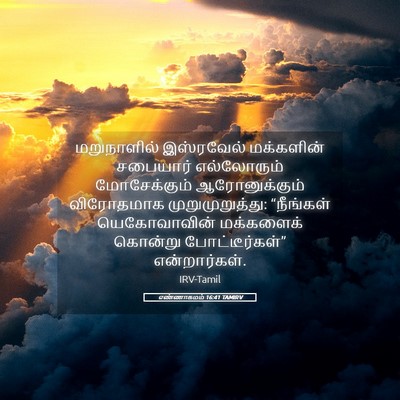 Picture 05 - எண்ணாகமம் 16:41 TAMIRV - மறுநாளில் - Bible Verse Picture