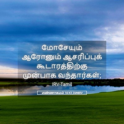 Picture 05 - எண்ணாகமம் 16:43 TAMIRV - மோசேயும் ஆரோனும் - Bible Verse Picture