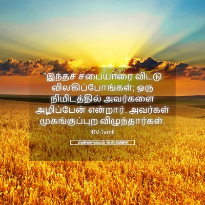 Picture 05 - எண்ணாகமம் 16:45 TAMIRV - “இந்தச் சபையாரை - Bible Verse Picture