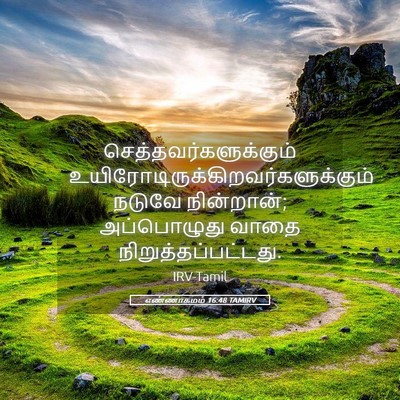 Picture 05 - எண்ணாகமம் 16:48 TAMIRV -  - Bible Verse Picture