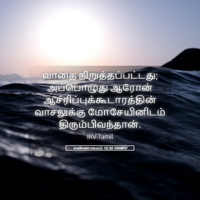 Picture 05 - எண்ணாகமம் 16:50 TAMIRV - வாதை - Bible Verse Picture