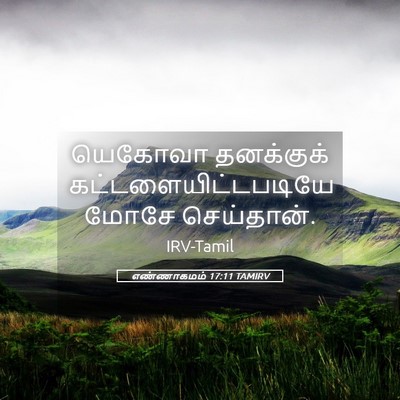 Picture 05 - எண்ணாகமம் 17:11 TAMIRV - யெகோவா தனக்குக் - Bible Verse Picture