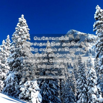 Picture 05 - எண்ணாகமம் 17:13 TAMIRV - யெகோவாவின் - Bible Verse Picture