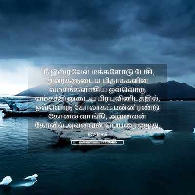 Picture 05 - எண்ணாகமம் 17:2 TAMIRV - “நீ இஸ்ரவேல் - Bible Verse Picture