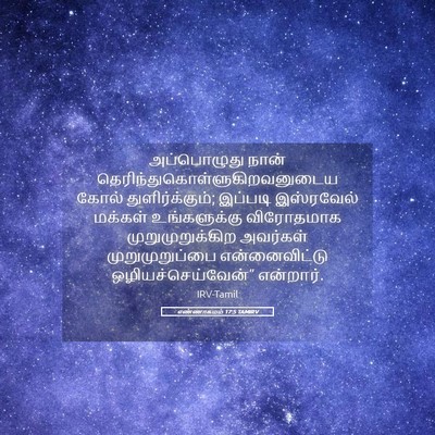 Picture 05 - எண்ணாகமம் 17:5 TAMIRV - அப்பொழுது நான் - Bible Verse Picture