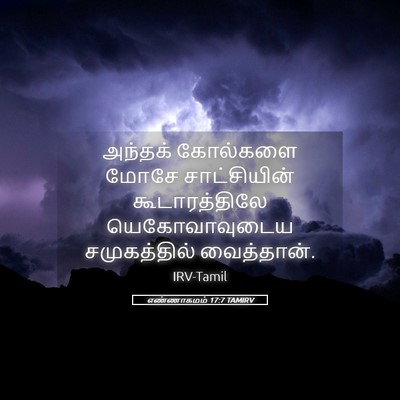 Picture 05 - எண்ணாகமம் 17:7 TAMIRV - அந்தக் கோல்களை - Bible Verse Picture