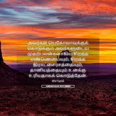 Picture 05 - எண்ணாகமம் 18:12 TAMIRV - அவர்கள் - Bible Verse Picture