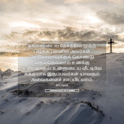 Picture 05 - எண்ணாகமம் 18:13 TAMIRV - தங்களுடைய - Bible Verse Picture
