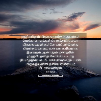 Picture 05 - எண்ணாகமம் 18:15 TAMIRV - மனிதரிலும் - Bible Verse Picture