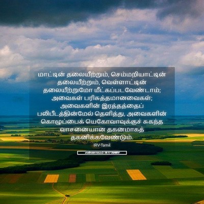 Picture 05 - எண்ணாகமம் 18:17 TAMIRV - மாட்டின் - Bible Verse Picture