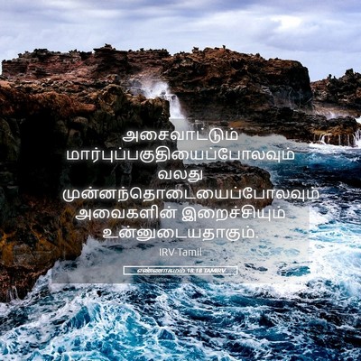 Picture 05 - எண்ணாகமம் 18:18 TAMIRV - அசைவாட்டும் - Bible Verse Picture