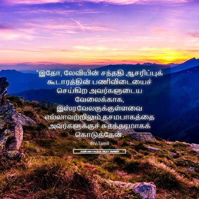 Picture 05 - எண்ணாகமம் 18:21 TAMIRV - “இதோ, லேவியின் - Bible Verse Picture