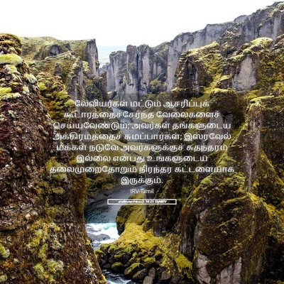 Picture 05 - எண்ணாகமம் 18:23 TAMIRV - லேவியர்கள் - Bible Verse Picture