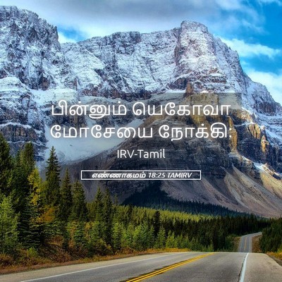 Picture 05 - எண்ணாகமம் 18:25 TAMIRV - பின்னும் யெகோவா - Bible Verse Picture