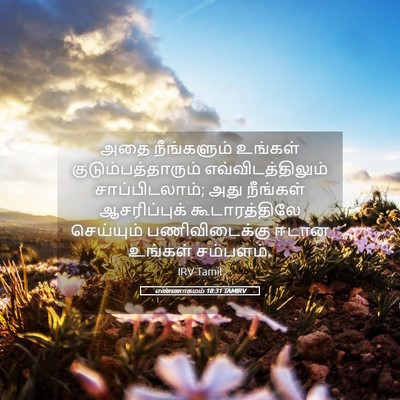 Picture 05 - எண்ணாகமம் 18:31 TAMIRV - அதை நீங்களும் - Bible Verse Picture
