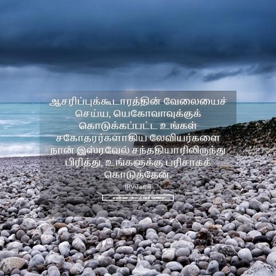 Picture 05 - எண்ணாகமம் 18:6 TAMIRV -  - Bible Verse Picture