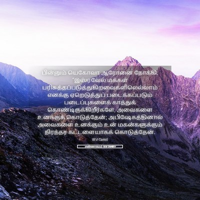 Picture 05 - எண்ணாகமம் 18:8 TAMIRV - பின்னும் யெகோவா - Bible Verse Picture