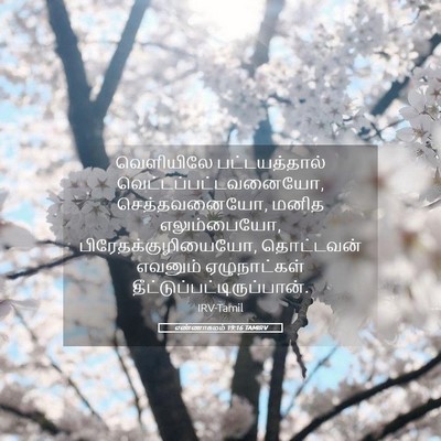 Picture 05 - எண்ணாகமம் 19:16 TAMIRV - வெளியிலே - Bible Verse Picture