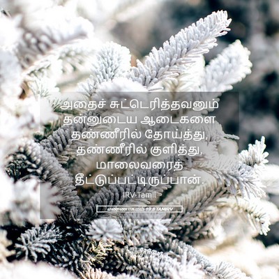 Picture 05 - எண்ணாகமம் 19:8 TAMIRV - அதைச் - Bible Verse Picture