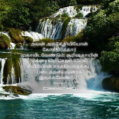 Picture 05 - எண்ணாகமம் 2:12 TAMIRV - அவன் அருகே - Bible Verse Picture