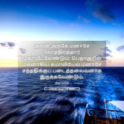 Picture 05 - எண்ணாகமம் 2:20 TAMIRV - அவன் அருகே மனாசே - Bible Verse Picture