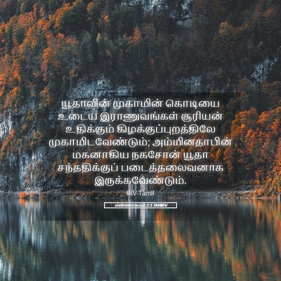 Picture 05 - எண்ணாகமம் 2:3 TAMIRV - யூதாவின் முகாமின் - Bible Verse Picture