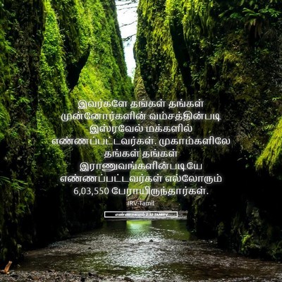 Picture 05 - எண்ணாகமம் 2:32 TAMIRV - இவர்களே தங்கள் - Bible Verse Picture