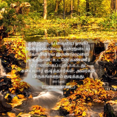 Picture 05 - எண்ணாகமம் 20:11 TAMIRV - தன்னுடைய கையை - Bible Verse Picture