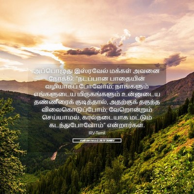Picture 05 - எண்ணாகமம் 20:19 TAMIRV - அப்பொழுது - Bible Verse Picture