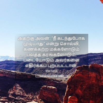 Picture 05 - எண்ணாகமம் 20:20 TAMIRV - அதற்கு அவன்: “நீ - Bible Verse Picture