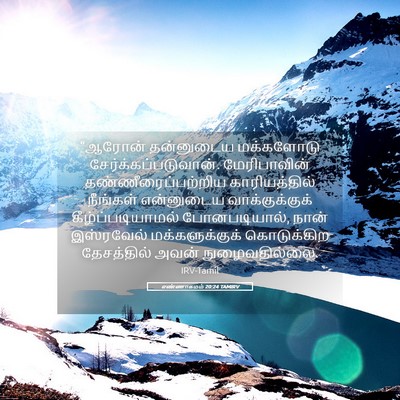 Picture 05 - எண்ணாகமம் 20:24 TAMIRV - “ஆரோன் தன்னுடைய - Bible Verse Picture