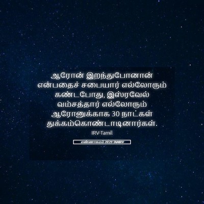 Picture 05 - எண்ணாகமம் 20:29 TAMIRV - ஆரோன் - Bible Verse Picture