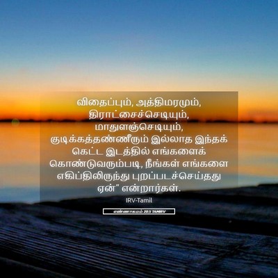 Picture 05 - எண்ணாகமம் 20:5 TAMIRV - விதைப்பும், - Bible Verse Picture
