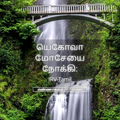Picture 05 - எண்ணாகமம் 20:7 TAMIRV - யெகோவா மோசேயை - Bible Verse Picture