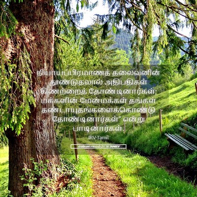 Picture 05 - எண்ணாகமம் 21:18 TAMIRV - நியாயப்பிரமாணத் - Bible Verse Picture