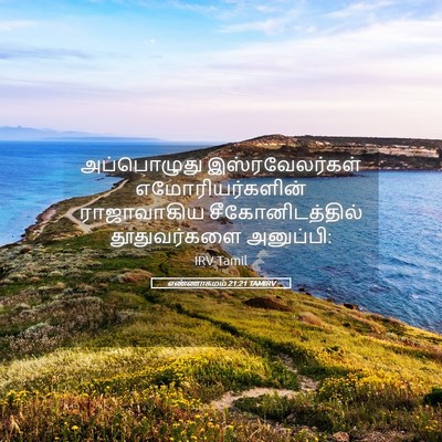 Picture 05 - எண்ணாகமம் 21:21 TAMIRV - அப்பொழுது - Bible Verse Picture