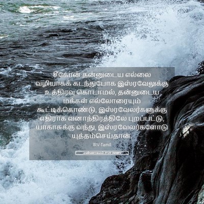 Picture 05 - எண்ணாகமம் 21:23 TAMIRV - சீகோன் தன்னுடைய - Bible Verse Picture