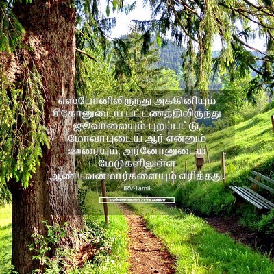Picture 05 - எண்ணாகமம் 21:28 TAMIRV - எஸ்போனிலிருந்து - Bible Verse Picture