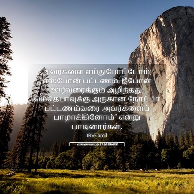 Picture 05 - எண்ணாகமம் 21:30 TAMIRV - அவர்களை - Bible Verse Picture