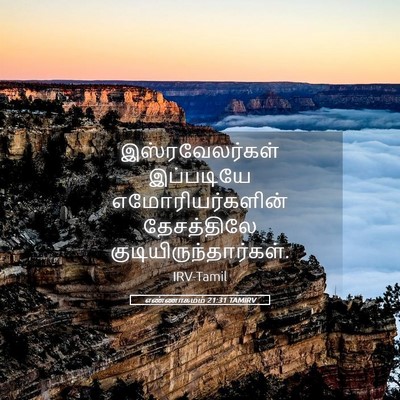 Picture 05 - எண்ணாகமம் 21:31 TAMIRV - இஸ்ரவேலர்கள் - Bible Verse Picture